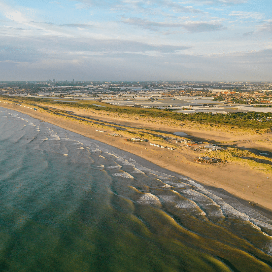 Westlandse kust en duinen Slag Vlugtenburg